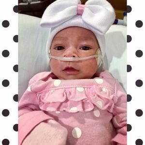 Meet your Posher, Martha